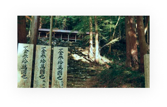 山の中にある階段