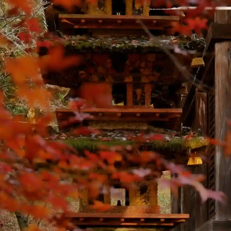 紅葉